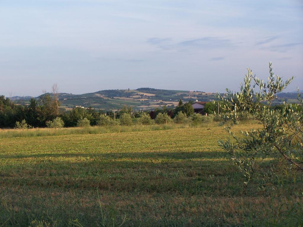 Agriturismo La Lenticchia Fratta Terme Extérieur photo